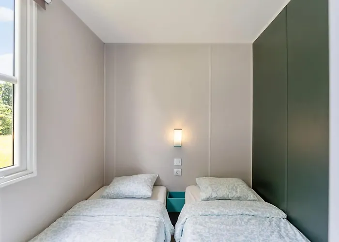 Papillon - Familie 6p * בוילון